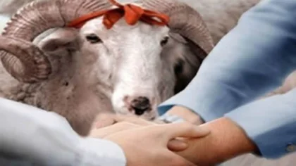 Bayram Namazı 7:27’de Kılınacak