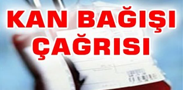 Sapanca Ülkü Ocakları'ndan Kan Bağışına Davet