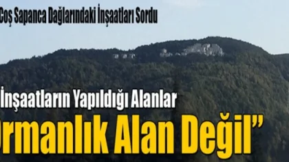 Sapanca Dağları Ormanlık Alan Değilmiş