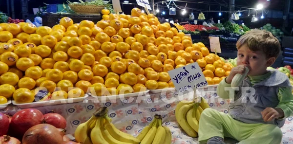 Sapanca Cuma Pazarı 27 Kasım Tarihli Parakende Sebze ve Meyve Fiyatları