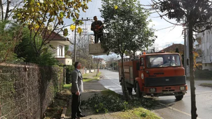 İpekyolu Caddesi'ne Çevre Bakımı
