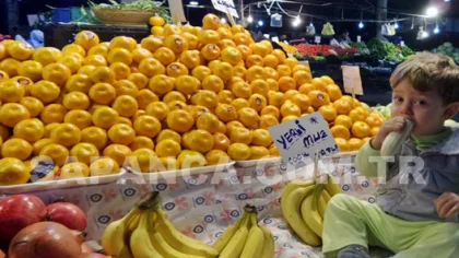 Sapanca Cuma Pazarı 20 Kasım Tarihli Parakende Sebze ve Meyve Fiyatları