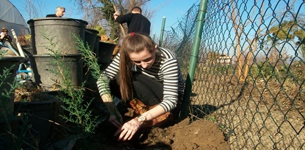 Sapanca Myo Peyzaj ve Süs Bitkileri Öğrencileri Fidan Dikti