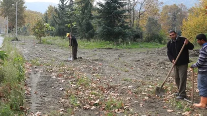 Belediye'den Ağaçlandırma Çalışması