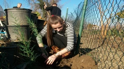 Sapanca Myo Peyzaj ve Süs Bitkileri Öğrencileri Fidan Dikti