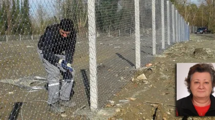 Sapanca Sokak Hayvanları Derneği'nden Teşekkür