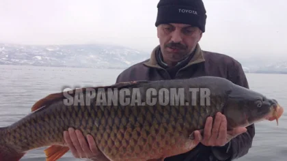 Sapanca'dan 25 Kiloluk Sazan Çıktı!