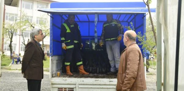 Sapanca Myo'dan 3 Bin Fidan