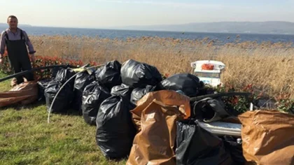 Sapanca Gölü Kıyısında Bahar Temizliği