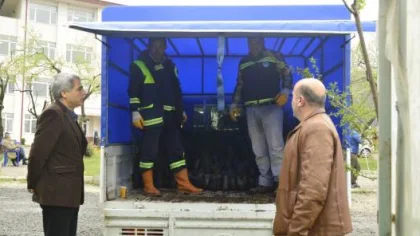 Sapanca Myo'dan 3 Bin Fidan