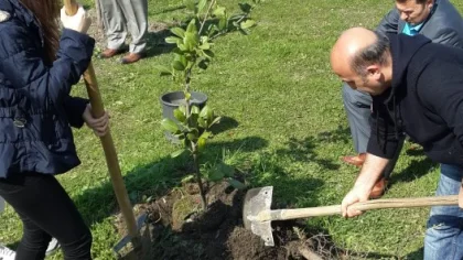 Sapanca Myo'dan METEM'e Fidan