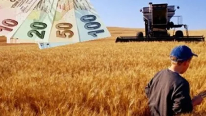 Sapanca 2 Çiftçi Hibe Desteğinden Yararlandı