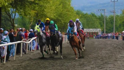 Sapanca Mahalli At Yarışları Ertelendi