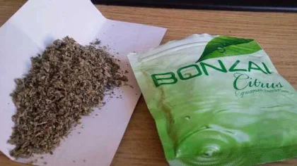 Bonzai'den Biri Öldü Diğeri Tutuklandı