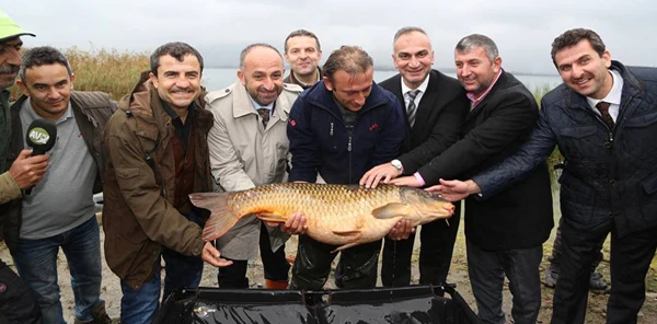Sapanca Gölü Sazan Balığı Tutma Yarışması Sona Erdi
