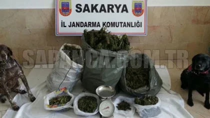 16 Kilo Esrar Ele Geçirildi