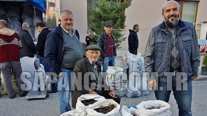 Kestane Pazara İndi