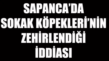 Sapanca Belediyesi: 'Köpek Zehirlenmeleriyle Bir İlgimiz Yok'