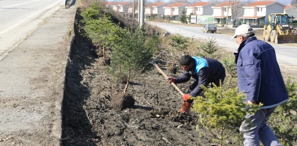 Daha Güzel Bir Sapanca için