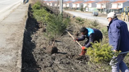 Daha Güzel Bir Sapanca için