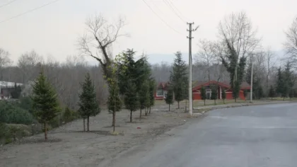 Daha Yeşil Bir Sapanca için