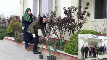 Sapanca Kaymakamlığı ve İlçe Hastanesinde Laleler Açtı