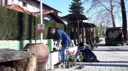 Sapanca Sanat Sokağına Öğrenciler Lale Dikti