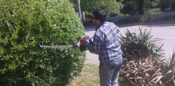 Park ve Bahçelerde Yaz Çalışmaları