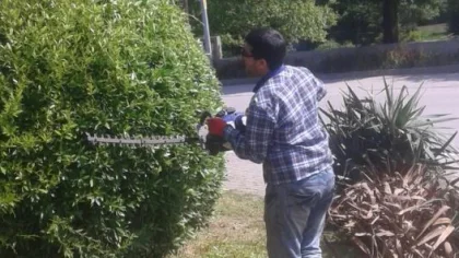 Park ve Bahçelerde Yaz Çalışmaları