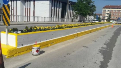 Sapanca'da Park ve Bahçeler Düzenleniyor
