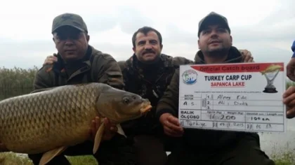 En Büyük Sazan Balığını Yakalamak için Mücadele Edecekler