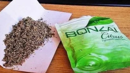 Zehir Tacirine Polis Baskını