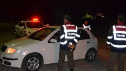 Jandarma Kaçak Kesime Göz Açtırmıyor