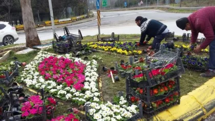 Sapanca'da Çiçeklendirme Çalışmaları