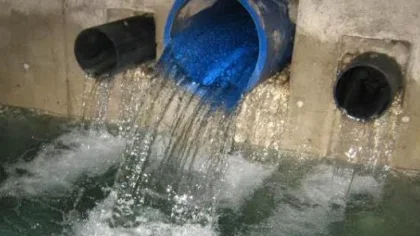Sapanca'da Kaynak Suyu Kiralama İhalesi