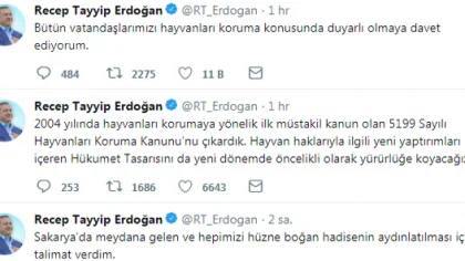 Cumhurbaşkanından Yavru Köpek Açıklaması
