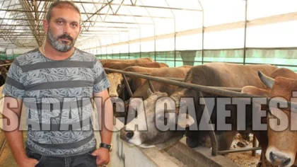 Dövizdeki Artış Kurbanlık Fiyatlarını Etkilemedi