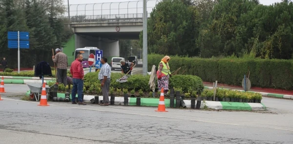 Sapanca Çiçeklerle Süsleniyor