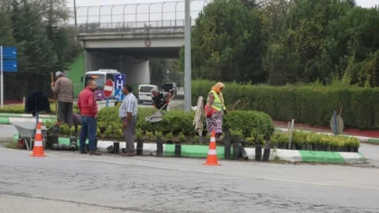 Sapanca Çiçeklerle Süsleniyor