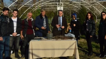 Sapanca Cevizi'ne Bilimsel Yaklaşım