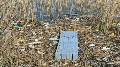 Sapanca Gölünden Bir Kamyon Çöp Çıkarıldı