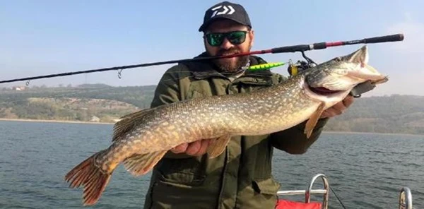 1 Metre Boyunda Turna Balığı Yakalandı