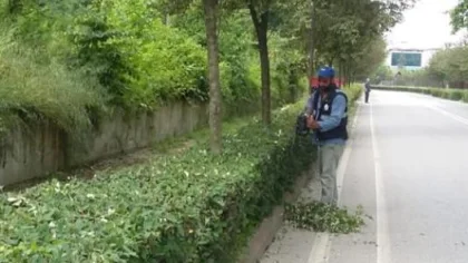 Sapanca Bayrama Hazırlanıyor