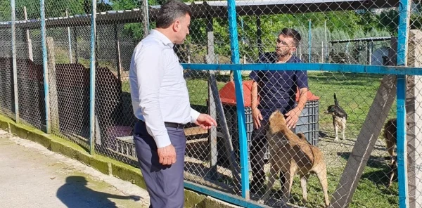 Başkan Özen, Hayvan Barınağını Ziyaret Etti
