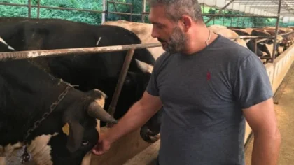 Kurbanlıkta Fiyatlar Arttı Satışlar Düştü