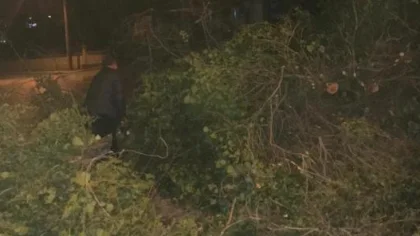 Sapanca'da Şiddetli Lodos Etkili Oldu