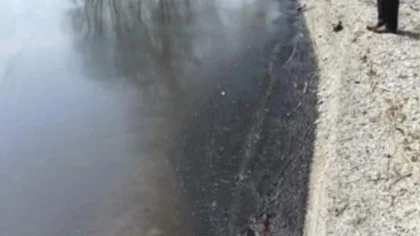 Sapanca Gölü'nde Esrarengiz Siyah Tabaka