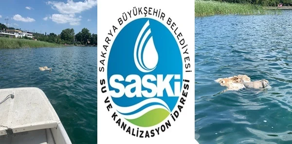 Kurban Kesip Atıklarını Göle Attılar