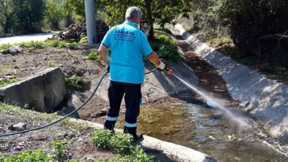 Asya Kaplanına Karşı Mücadele Tamamlandı