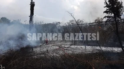 Sapanca'da Korkutan Yangın